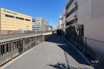 敷地の北側前面道路（西側から）