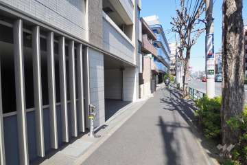 敷地南側の前面道路（西側から）