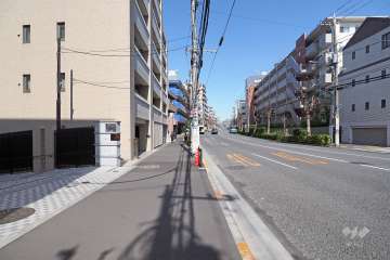 敷地南側の前面道路（西側から）