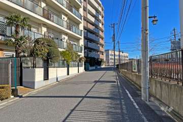 敷地の南側前面道路は善福寺川に面しています（西側から）。