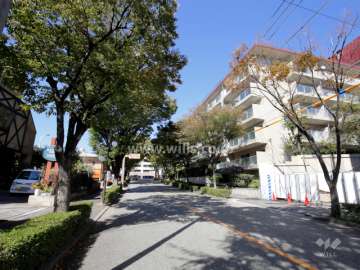敷地西側の前面道路