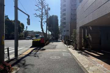 敷地の東側前面道路（北側から）