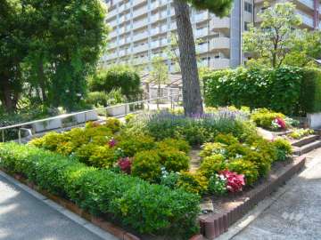 敷地内にはたくさんの緑が植えられています。