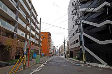 敷地東側の前面道路（南側から）