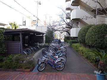 駐輪場。敷地内も緑豊かです。