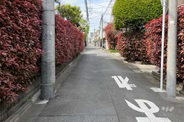 敷地東側の前面道路（南側から）