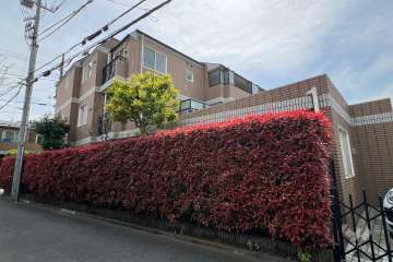 ドューエ永福フィオーレの外観（北東側から）