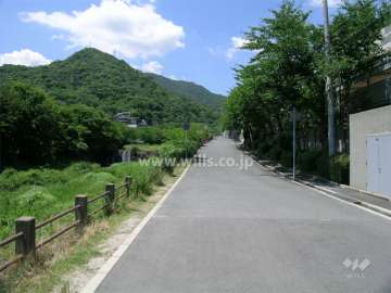 周辺は緑に囲まれています