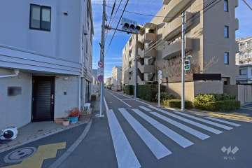 敷地の東側前面道路は本郷通です（北側から）。