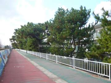 敷地の南側は松の木がきれいな歩道です