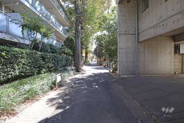 敷地西側の前面道路（北側から）