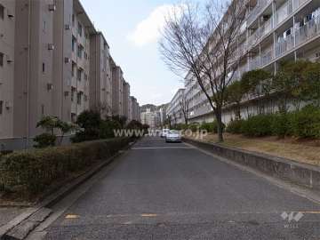 2号棟の南側の道路