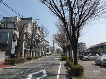 敷地南側の前面道路は街路樹のきれいな通りです。