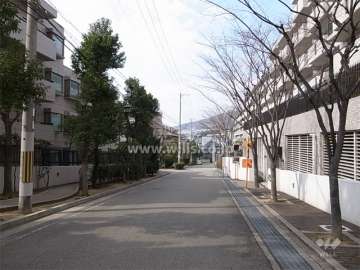敷地北側の前面道路。一部緑道になっています。