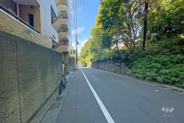 敷地北側の前面道路
