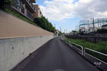敷地西側の前面道路（南側から）