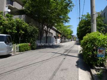 南側の前面道路（南西側から）