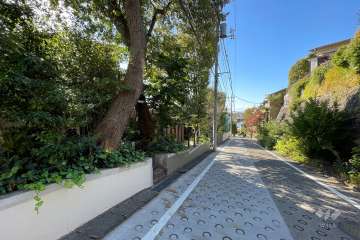 敷地の北東側前面道路（南東側から）