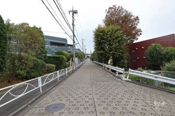 敷地南側の前面道路（西側から）