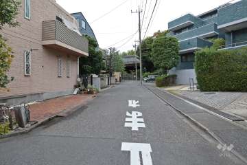 敷地南西側の前面道路（南東側から）