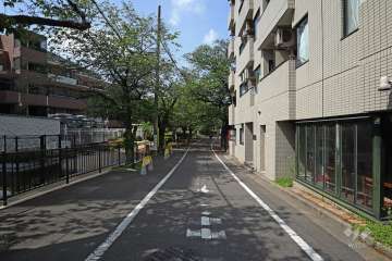 敷地南東側の前面道路（北東側から）