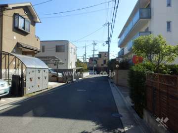 敷地東側の前面道路。