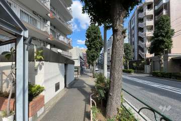 敷地南側の前面道路　