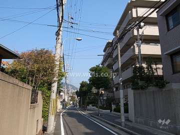敷地西側の前面道路。周辺は緑の多い閑静な住宅地です。