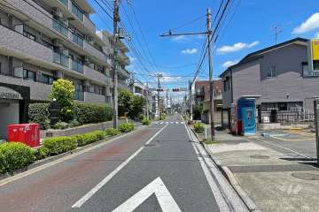 敷地南側の前面道路（西側から）