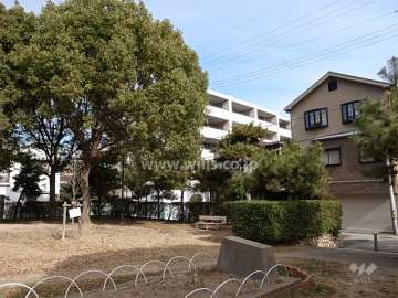 敷地の南西側には『南宮浜公園』があります。