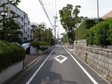 周辺は緑豊かな住宅地。（敷地北側の道路）