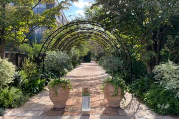 エントランスアプローチ