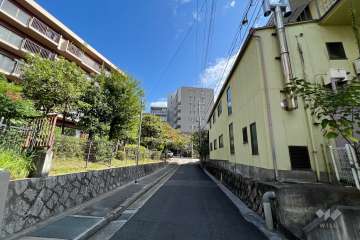 敷地南側の前面道路（西側から）