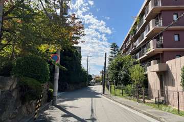 敷地東側の前面道路（北側から）
