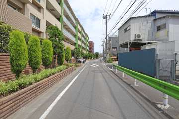 敷地南側の前面道路（西側から）
