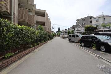 敷地西側の前面道路（北側から）