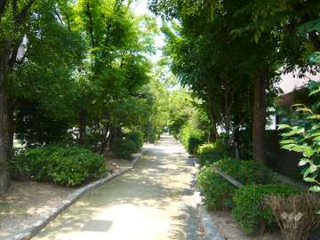 敷地西側は緑豊かな『江尻川緑地』です。