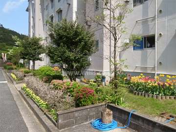 花壇には様々な花が植えられています。