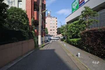 敷地南側の前面道路（西側から）