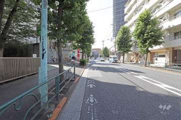 敷地北側の前面道路（西側から）