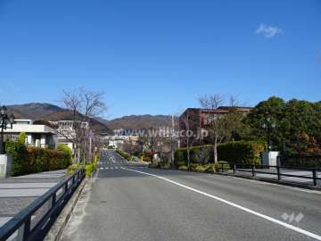 敷地西側の前面道路