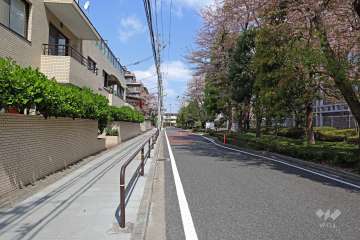 敷地東側の前面道路（南側から）