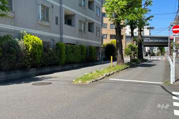 敷地南東側の前面道路(南側から)