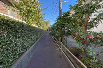 敷地の北側通路（西側から）