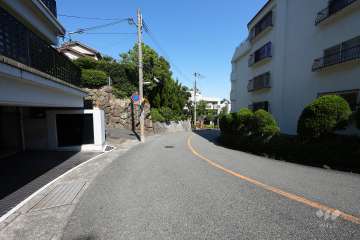 敷地南東側の前面道路（西側から）
