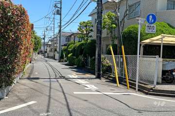 敷地北側の前面道路(西側から)
