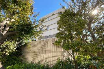 ブランズ砧の外観（北側から）