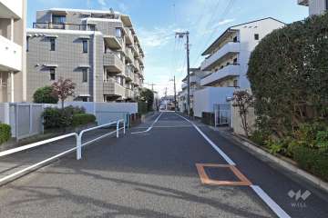 敷地北側の前面道路（西側から）