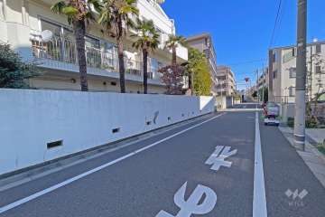 敷地南東側の前面道路（南西側から）