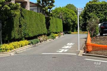 敷地南側の前面道路(南西側から)